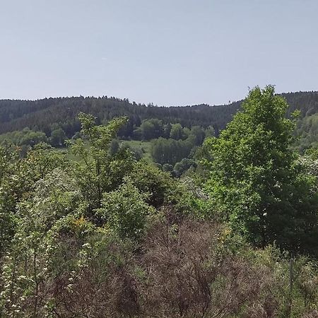 Sessles Waldhaeusschen Dietzhausen Suhl Exteriér fotografie