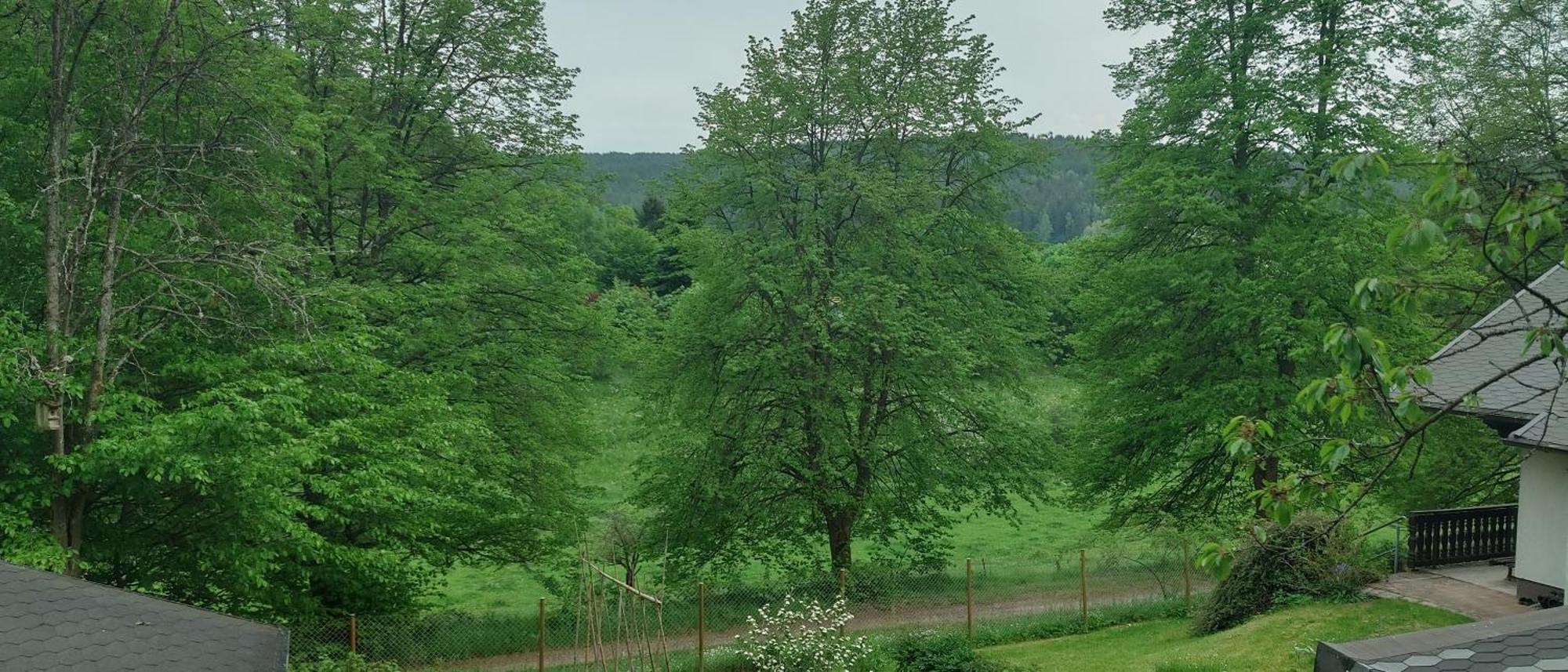 Sessles Waldhaeusschen Dietzhausen Suhl Exteriér fotografie