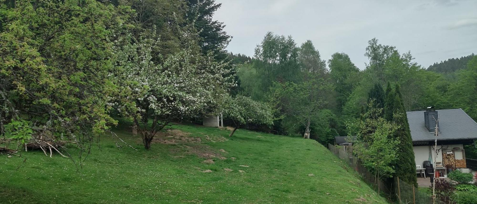 Sessles Waldhaeusschen Dietzhausen Suhl Exteriér fotografie