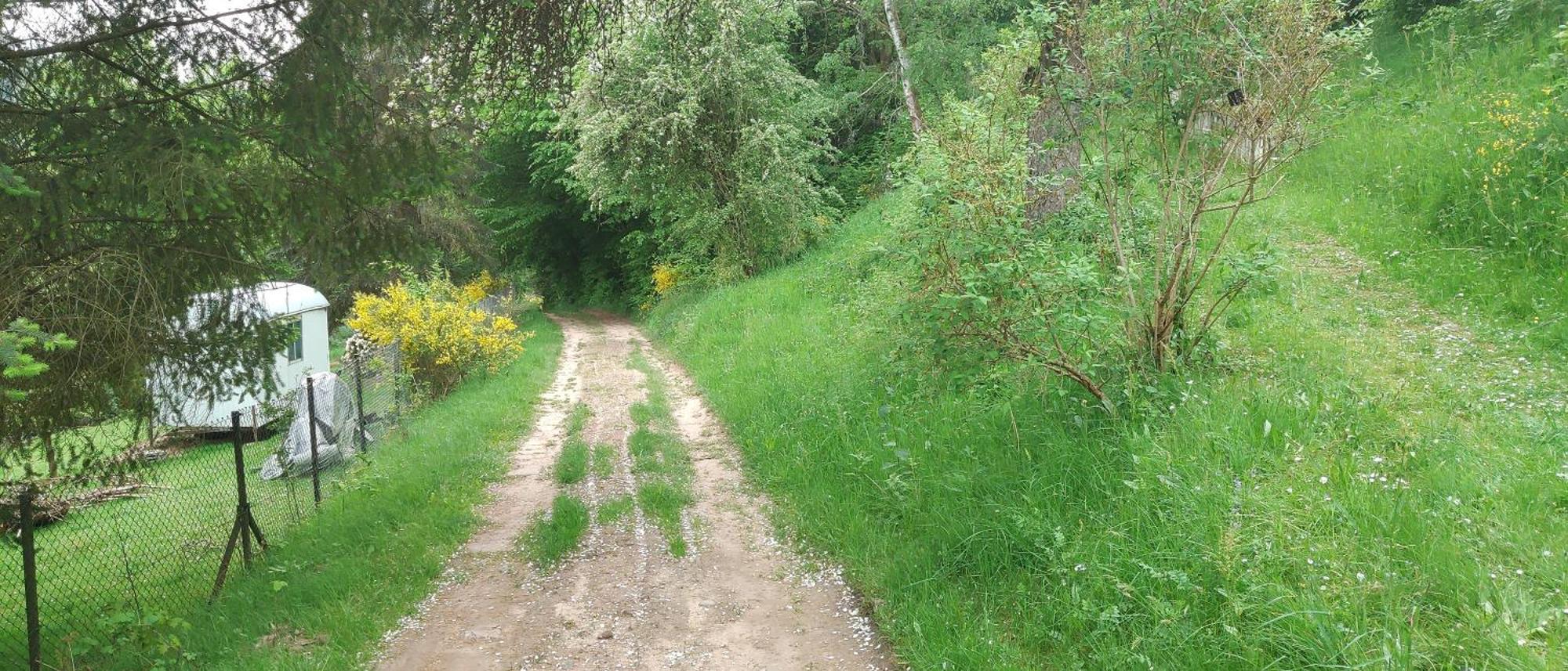 Sessles Waldhaeusschen Dietzhausen Suhl Exteriér fotografie