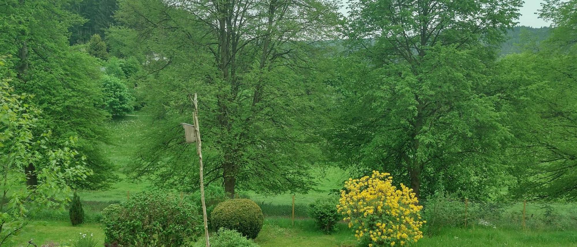 Sessles Waldhaeusschen Dietzhausen Suhl Exteriér fotografie